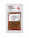 Flareon 065/SV-P (Yu Nagaba Promo) — ACE 9